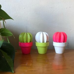 Urban Outfitters Redwood Stoneworks Cacti